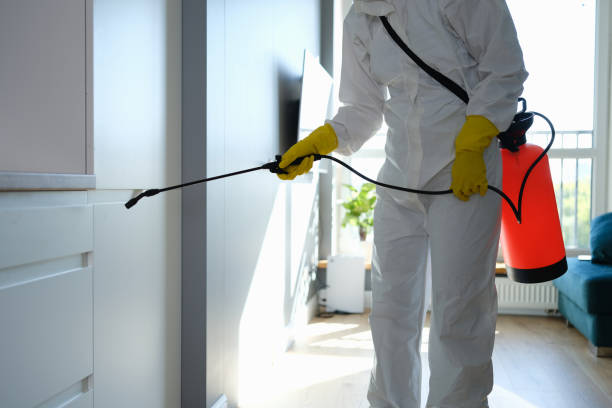 Best Water Damage Restoration  in Almont, MI